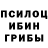 Псилоцибиновые грибы мицелий Funny Town