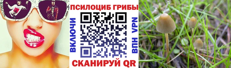 Псилоцибиновые грибы Magic Shrooms Рославль